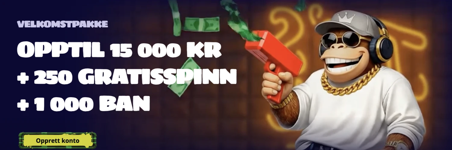 Promotional Banner